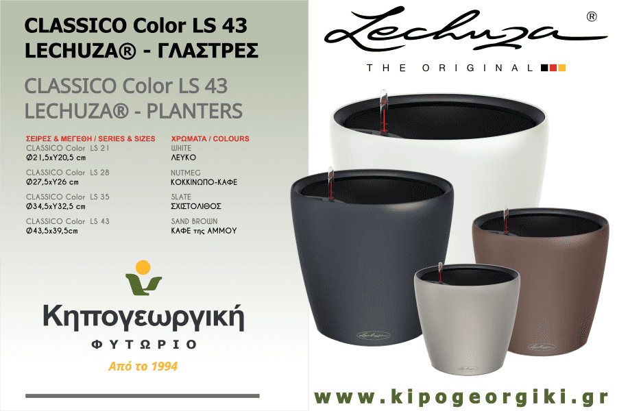 CLASSICO Color LS 43 LECHUZA Αυτοποτιζόμενες Γλάστρες & Κασπώ
